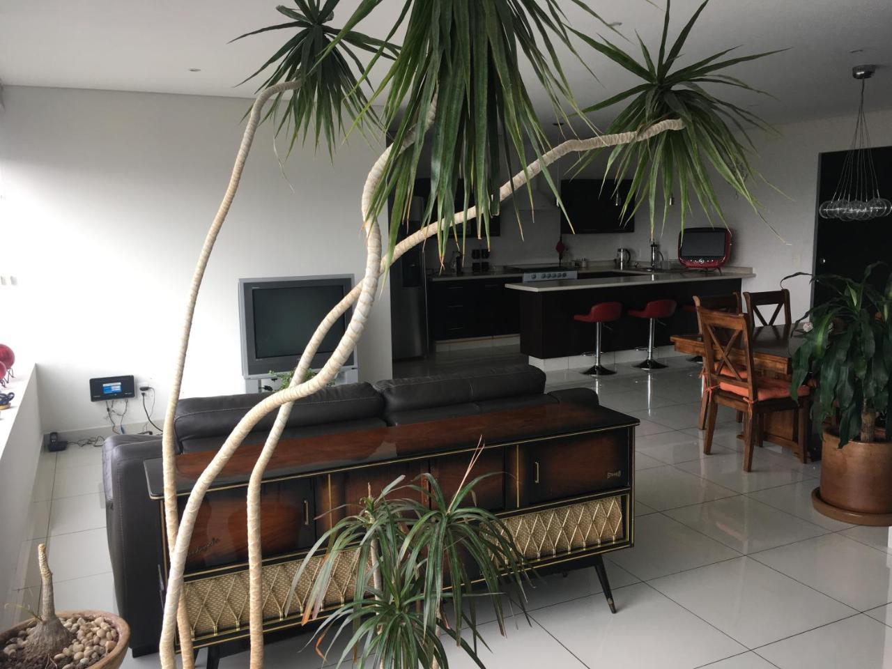 Napoles Condo Suites مدينة مكسيكو المظهر الخارجي الصورة